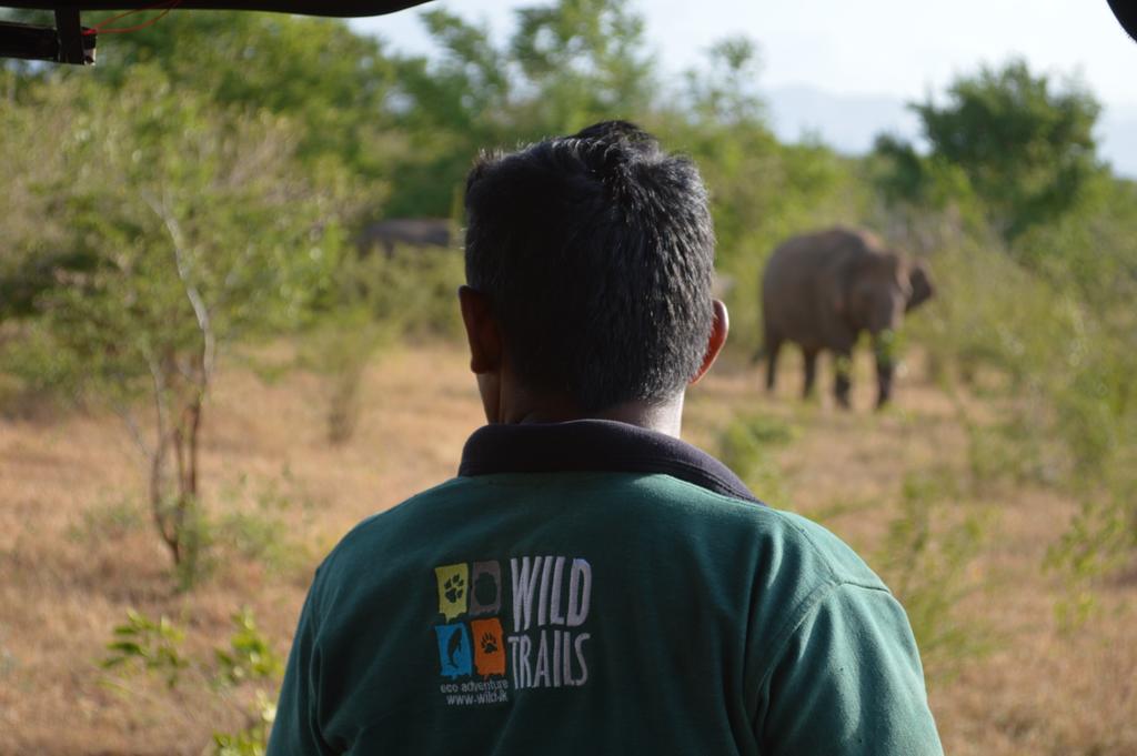 Wild Panthera Yala ティッサマハーラーマ エクステリア 写真