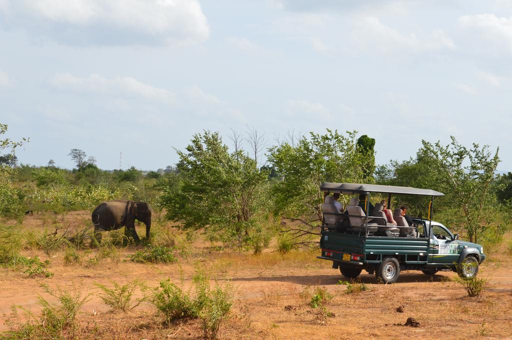 Wild Panthera Yala ティッサマハーラーマ エクステリア 写真